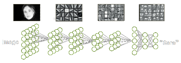 Deep Neural Network